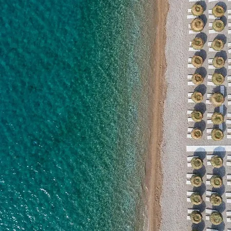 Beyaz Inci * 帕拉姆布库