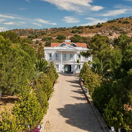 Beyaz Inci 帕拉姆布库