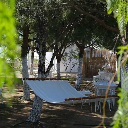 Beyaz Inci * 帕拉姆布库