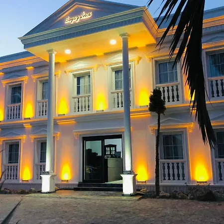 Beyaz Inci * Palamutbuku