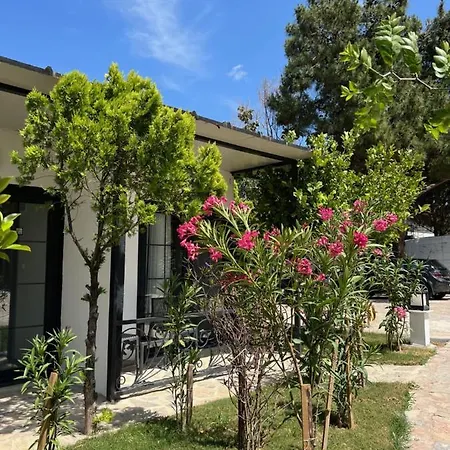 Hotel Beyaz Inci Palamut Buku
