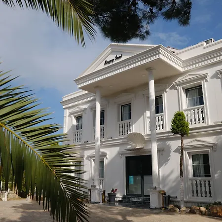 Beyaz ınci