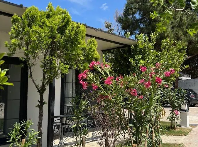 Otel Beyaz ınci Palamutbükü
